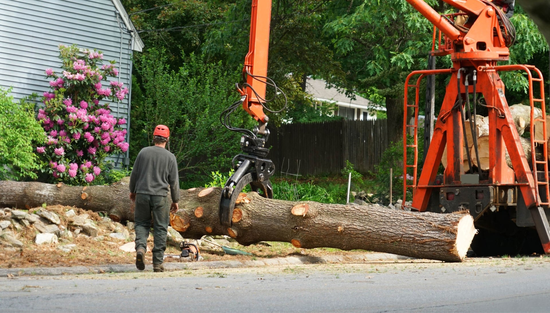Local partner for Tree removal services in Lexington